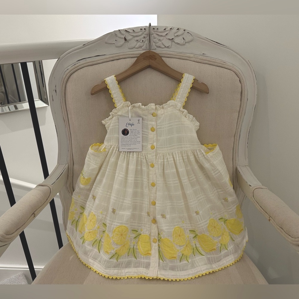 🍋 2T Pottery Barn for Jessi Raulet Gorgeous Embroidered Cotton Sundress NWT